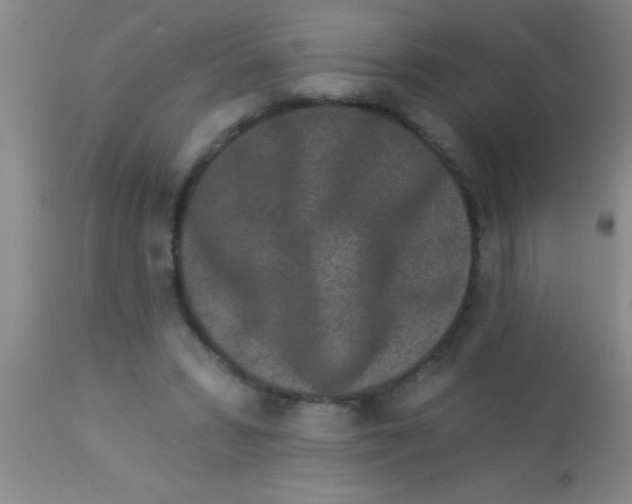 X0000112890399200909181916