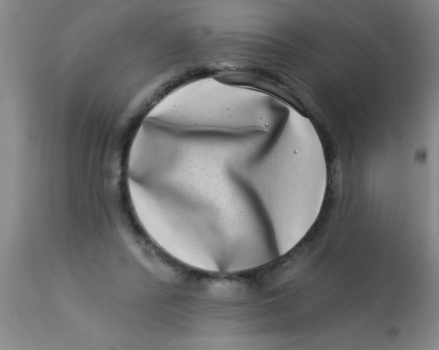 X0000112890400200909181916