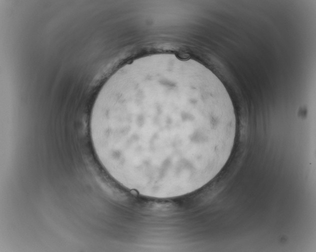 X0000112890401200909181916