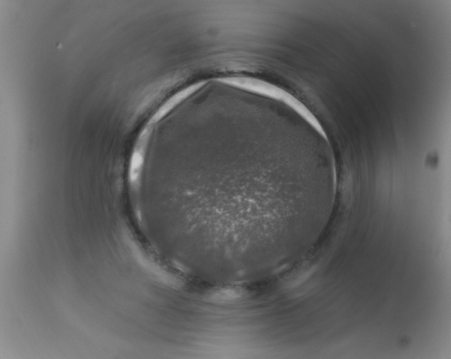 X0000112890402200909181916