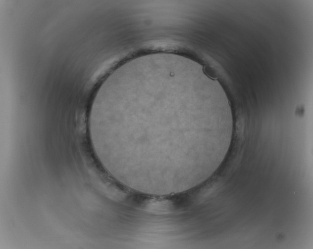 X0000112890403200909181916