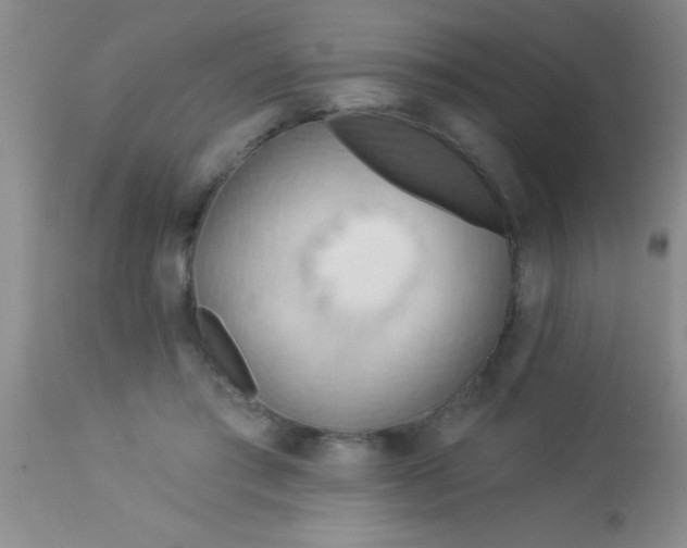 X0000112890405200909181916