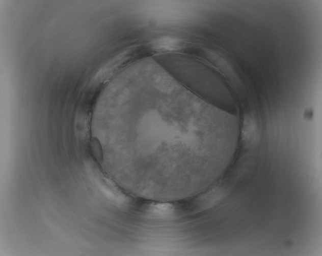X0000112890409200909181916
