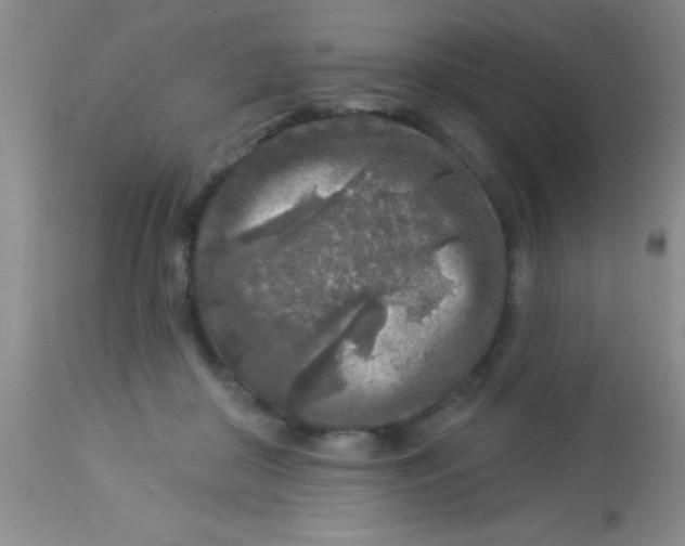 X0000112890410200909181916