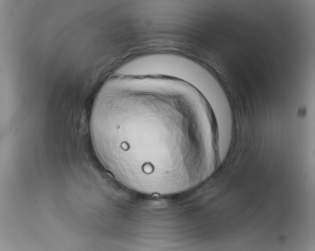 X0000112890411200909181916