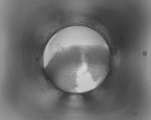 X0000112890415200909181916