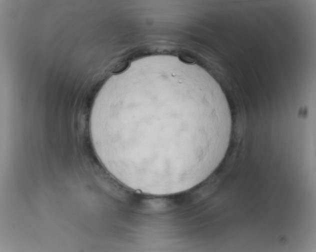 X0000112890417200909181916