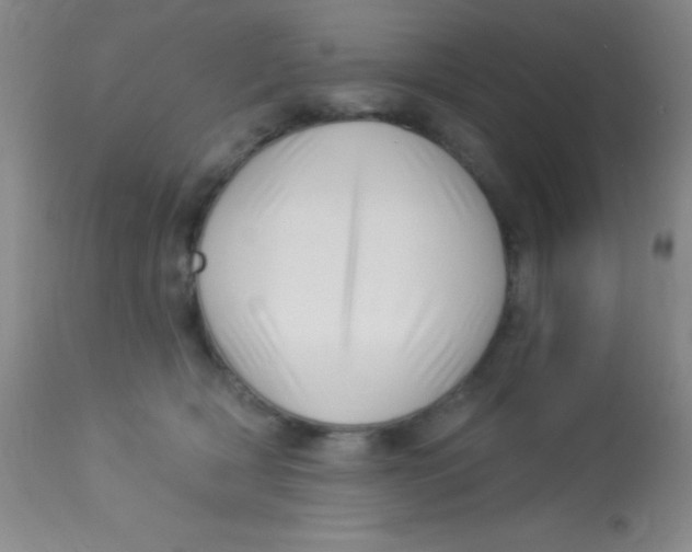 X0000112890418200909181916