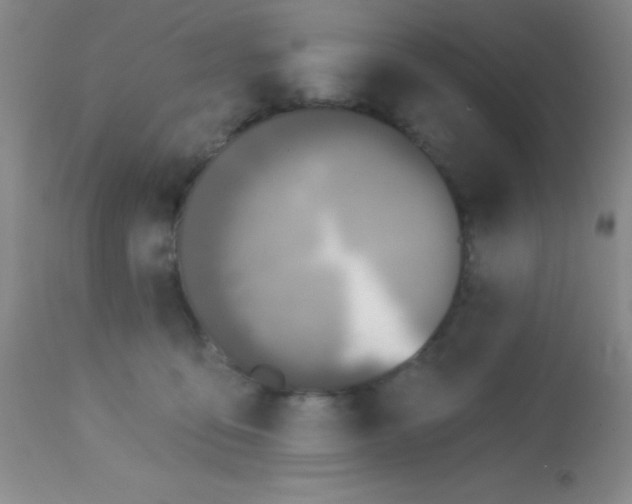 X0000112890419200909181916