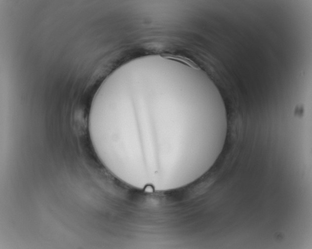 X0000112890420200909181916