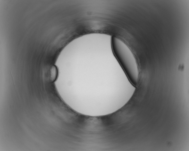 X0000112890421200909181916