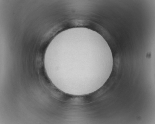 X0000112890422200909181916