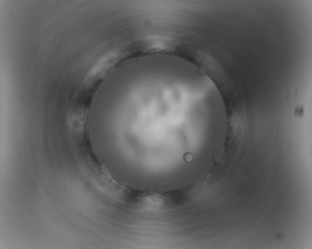 X0000112890423200909181916