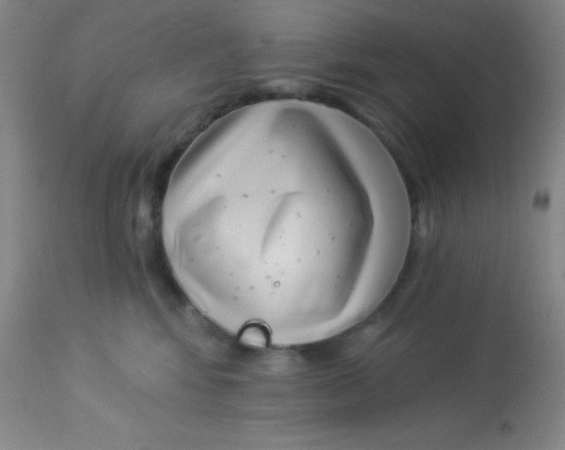 X0000112890424200909181916