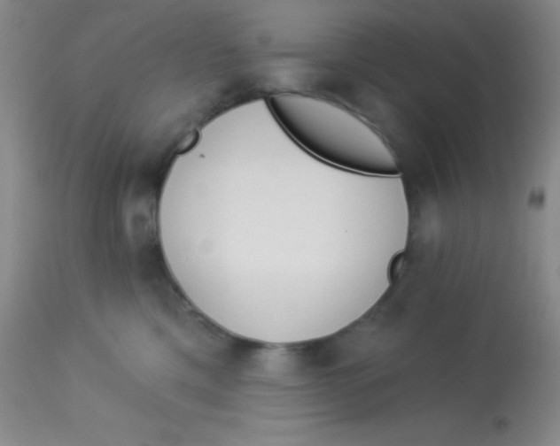 X0000112890425200909181916