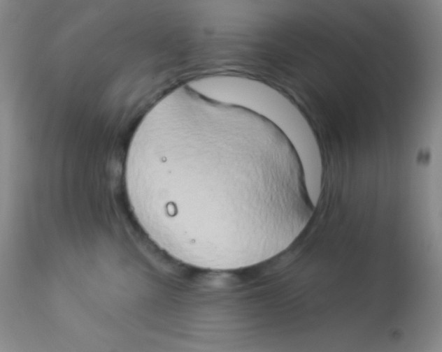 X0000112890427200909181916