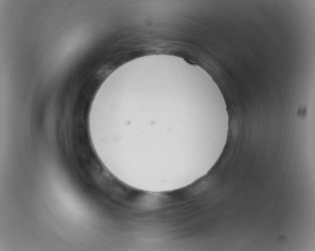 X0000112890429200909181916