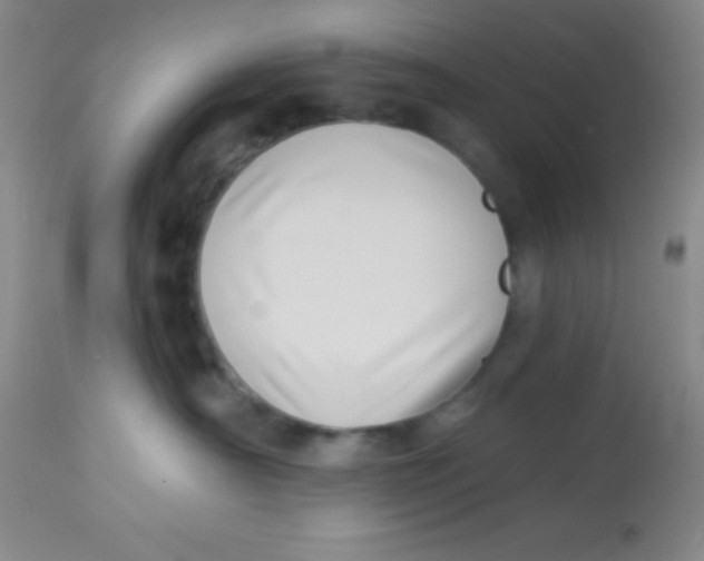 X0000112890430200909181916