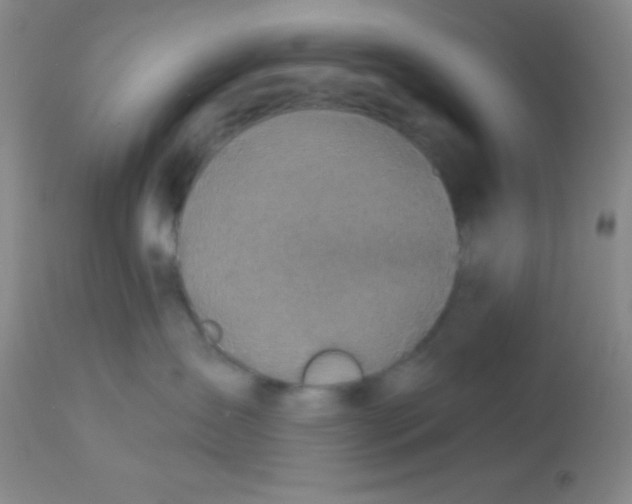 X0000112890431200909181916