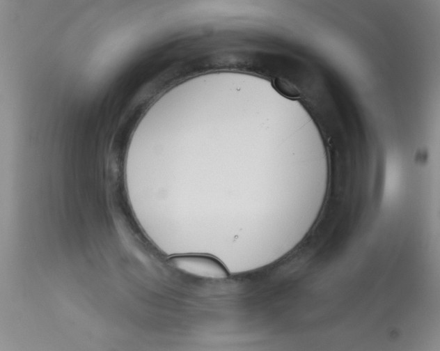 X0000112890435200909181915