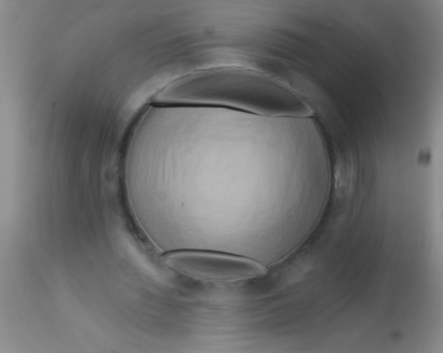 X0000112890436200909181915