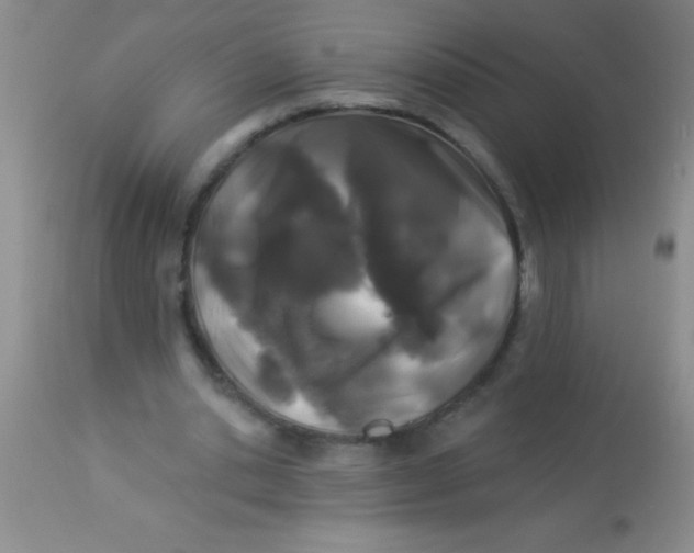 X0000112890438200909181915