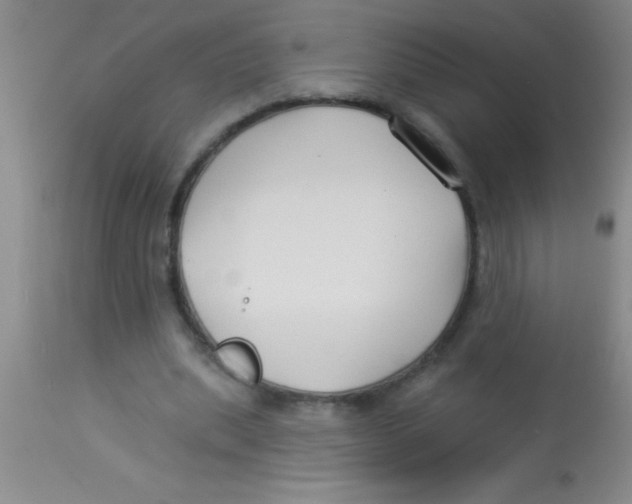 X0000112890439200909181915