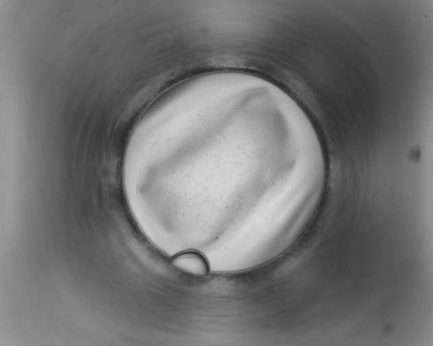 X0000112890441200909181915