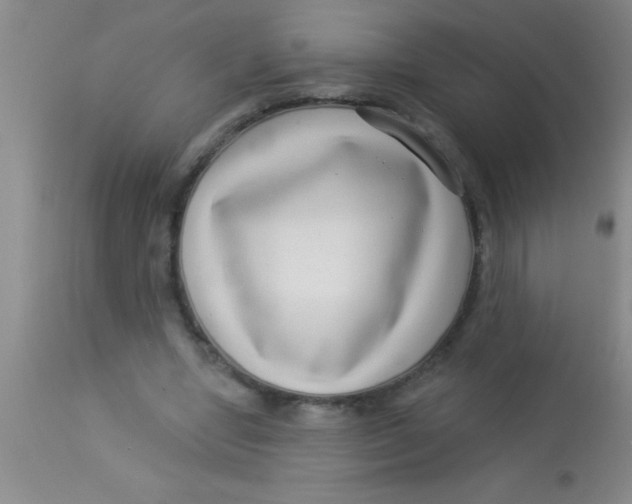 X0000112890442200909181915
