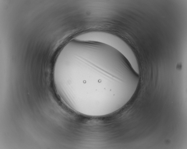X0000112890444200909181915