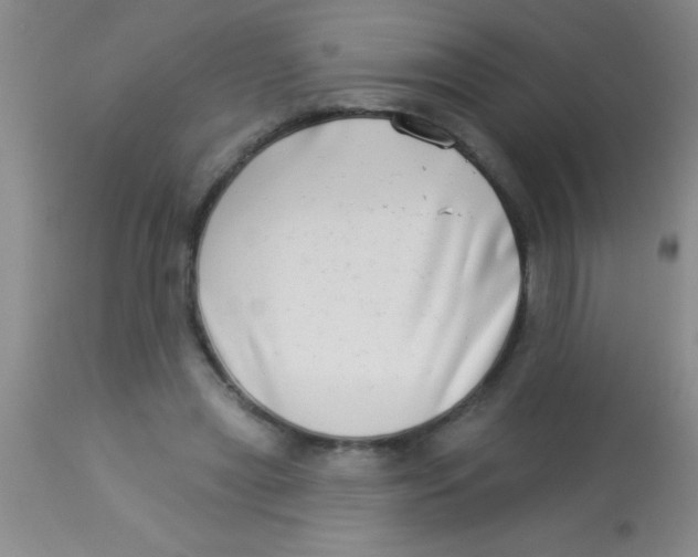 X0000112890445200909181915
