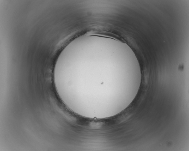 X0000112890450200909181916