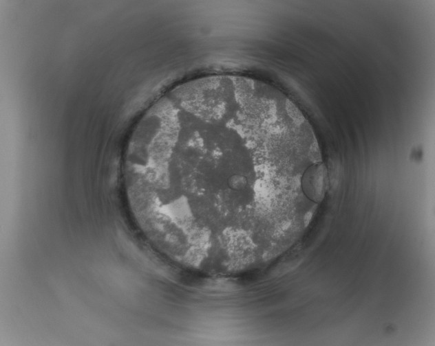 X0000112890451200909181916