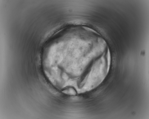 X0000112890453200909181916
