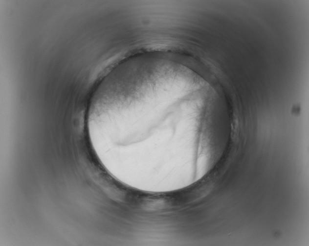 X0000112890454200909181916