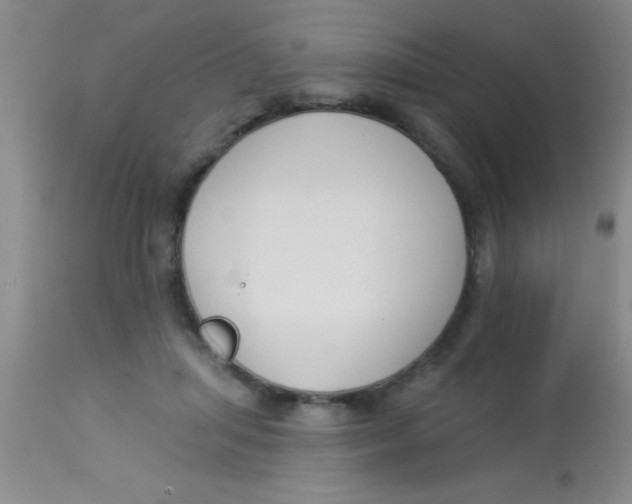 X0000112890455200909181916