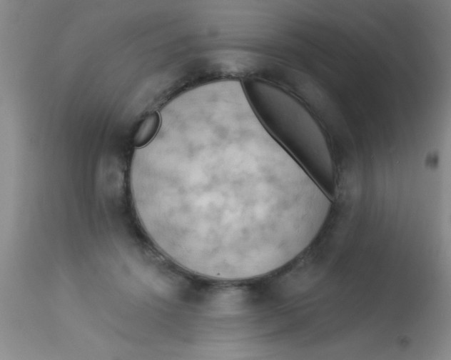 X0000112890456200909181916
