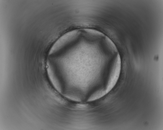 X0000112890457200909181916