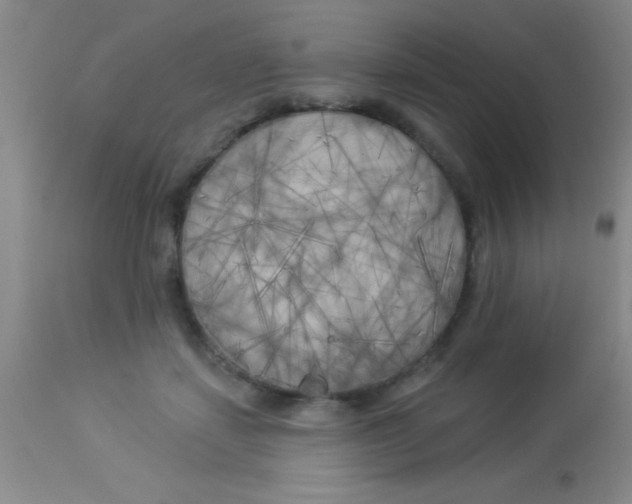 X0000112890459200909181916
