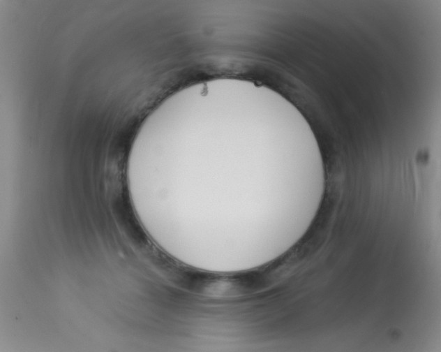 X0000112890460200909181916