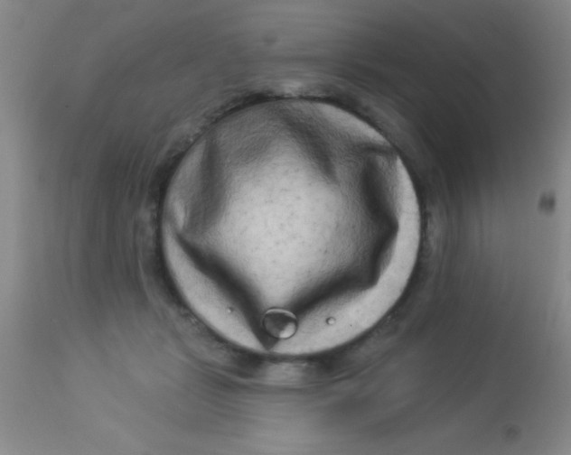 X0000112890461200909181916