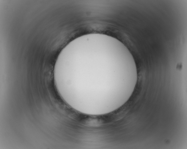 X0000112890464200909181916