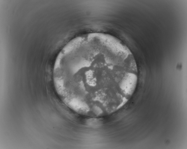 X0000112890465200909181916