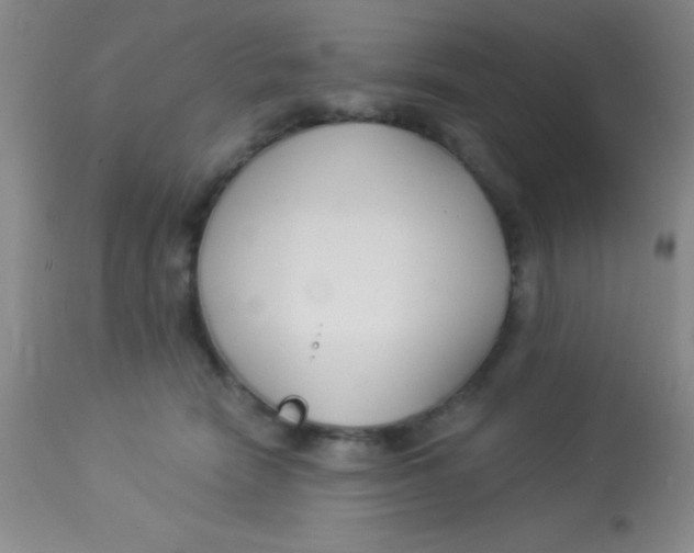 X0000112890466200909181916