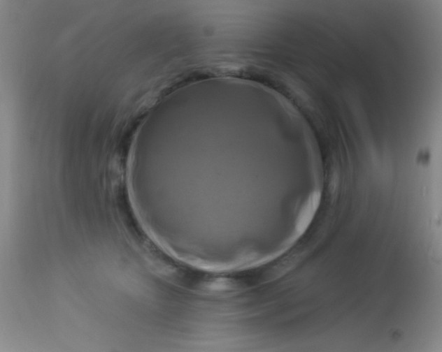 X0000112890467200909181916