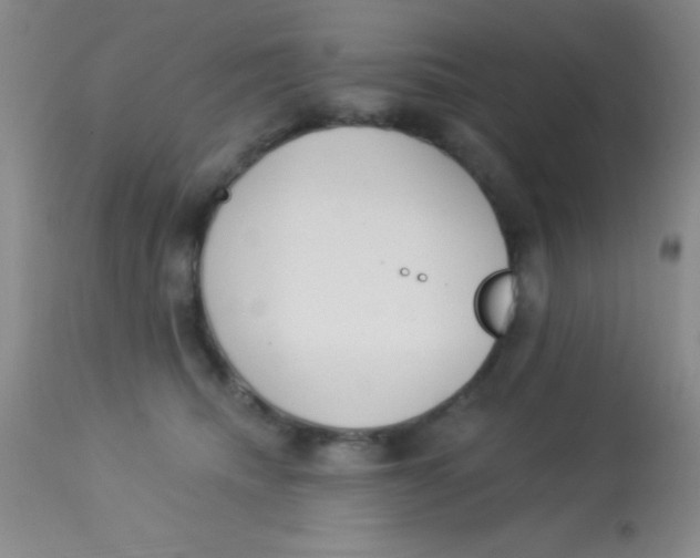 X0000112890468200909181916