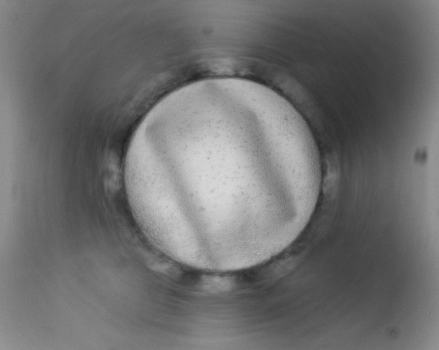 X0000112890469200909181916