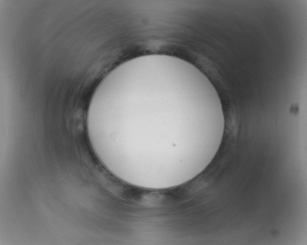 X0000112890470200909181916