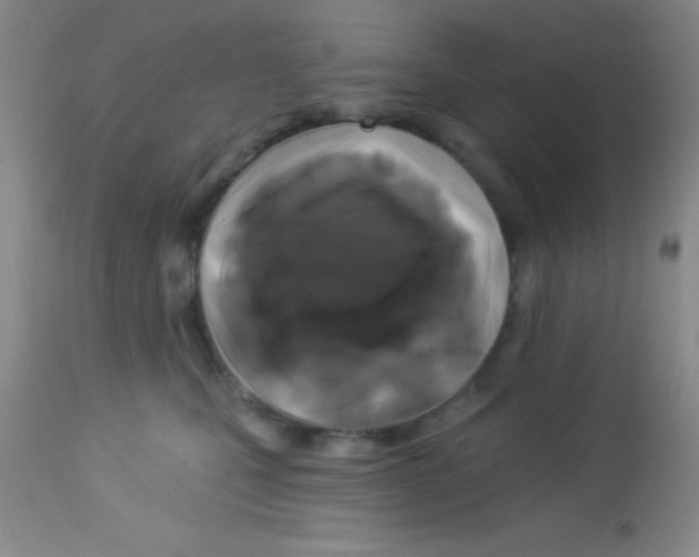 X0000112890471200909181916