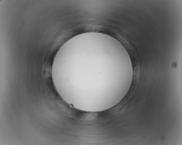 X0000112890474200909181916